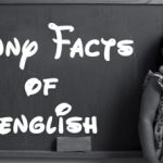 FUNNY FACTS OF ENGLISH