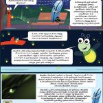 அய்ன்ஸ்ரூலி - அறிவியல் படக்கதை : ஒளிரும் உயிர்கள்