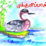 பறவைகள் அறிவோம் - 7: முக்குளிப்பான்