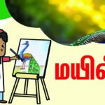 ஓவியம் வரையலாம், வாங்க!:  மயில்