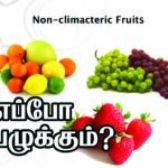 எப்போ பழுக்கும்?