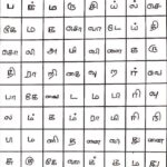 "கண்டுபிடி... கருத்தைப்படி”